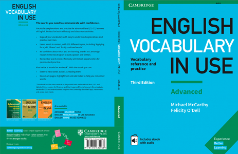 professional english in use ict pdf