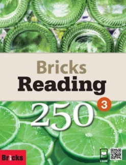 Bricks Reading 250 Level 3 [HQ PDF + Resources]