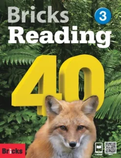 Bricks Reading 40 Level 3 [HQ PDF + Resources]