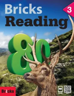 Bricks Reading 80 Level 3 [HQ PDF + Resources]